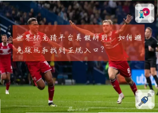 世界杯竞猜入口可靠吗？如何辨别真假
