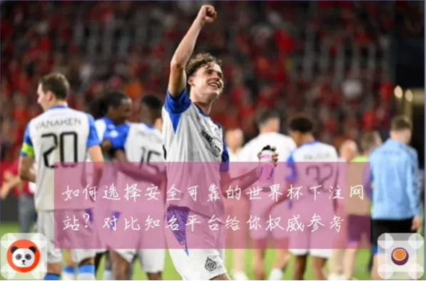 世界杯怎么买足球才安全？线下线上渠道对比